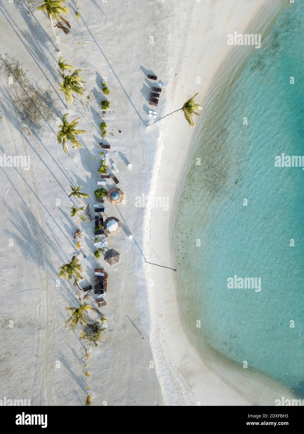 Aerial beach with palm trees hi-res stock photography and images - Alamy