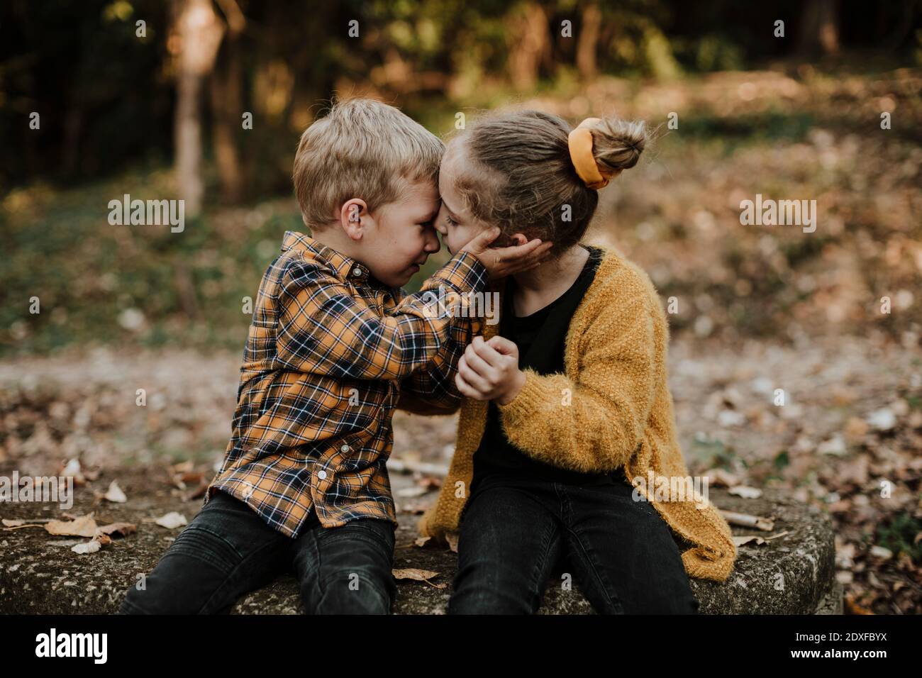 Brother and sister sitting face to face in forest during autumn Stock Photo  - Alamy