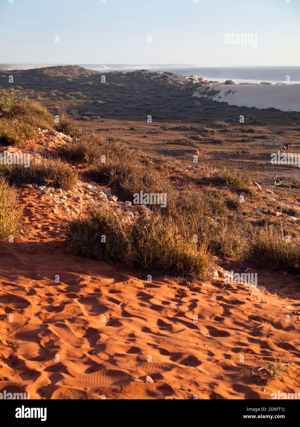 Warm evening light looking over revegetated sand dunes to the Indian  Ocean, Gnaraloo, Gascoyne Coast, Western Australia Stock Photo