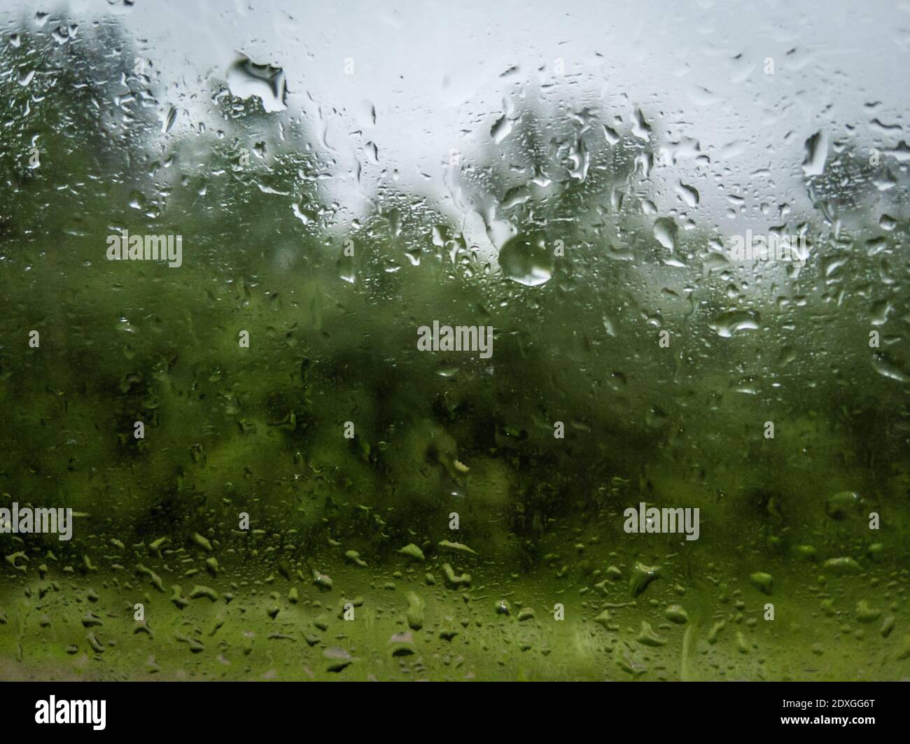 Raindrops on window with forest blurred in background Stock Photo
