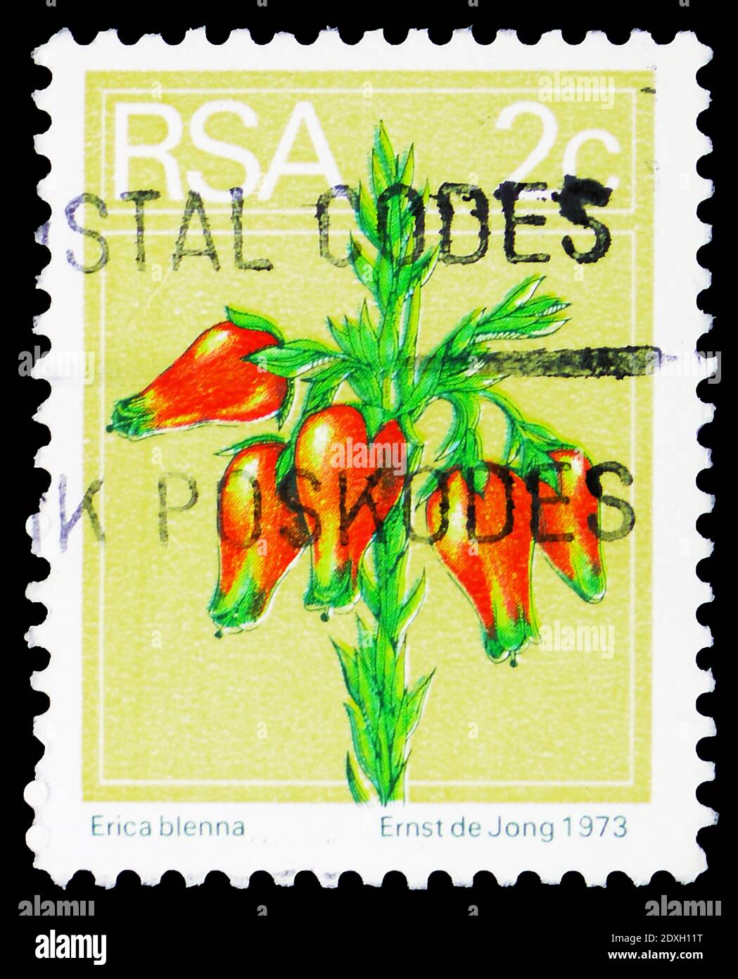 MOSCOW, RUSSIA - MARCH 30, 2019: A stamp printed in South Africa shows Bell heath (Erica blenna), Definitives Flora and Fauna serie, circa 1974 Stock Photo