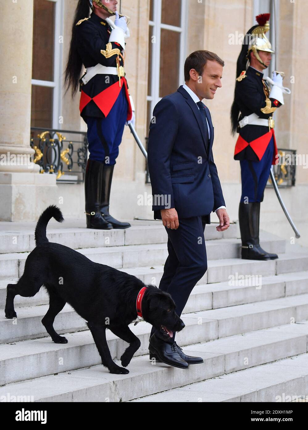 File Photo Dated August 28 2017 Of President Emmanuel Macron And His Dog Nemo At The Elysee Palace In Paris France Nemo The Dog Of France S President Emmanuel Macron And Wife Brigitte