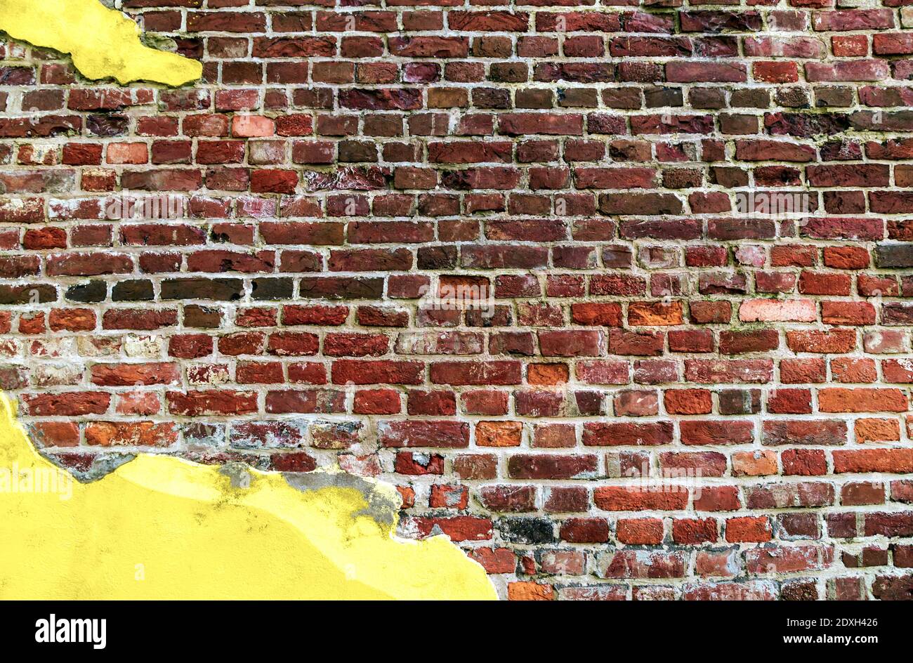 Yellow illuminating color painting Brick wall Concrete Backgrounds