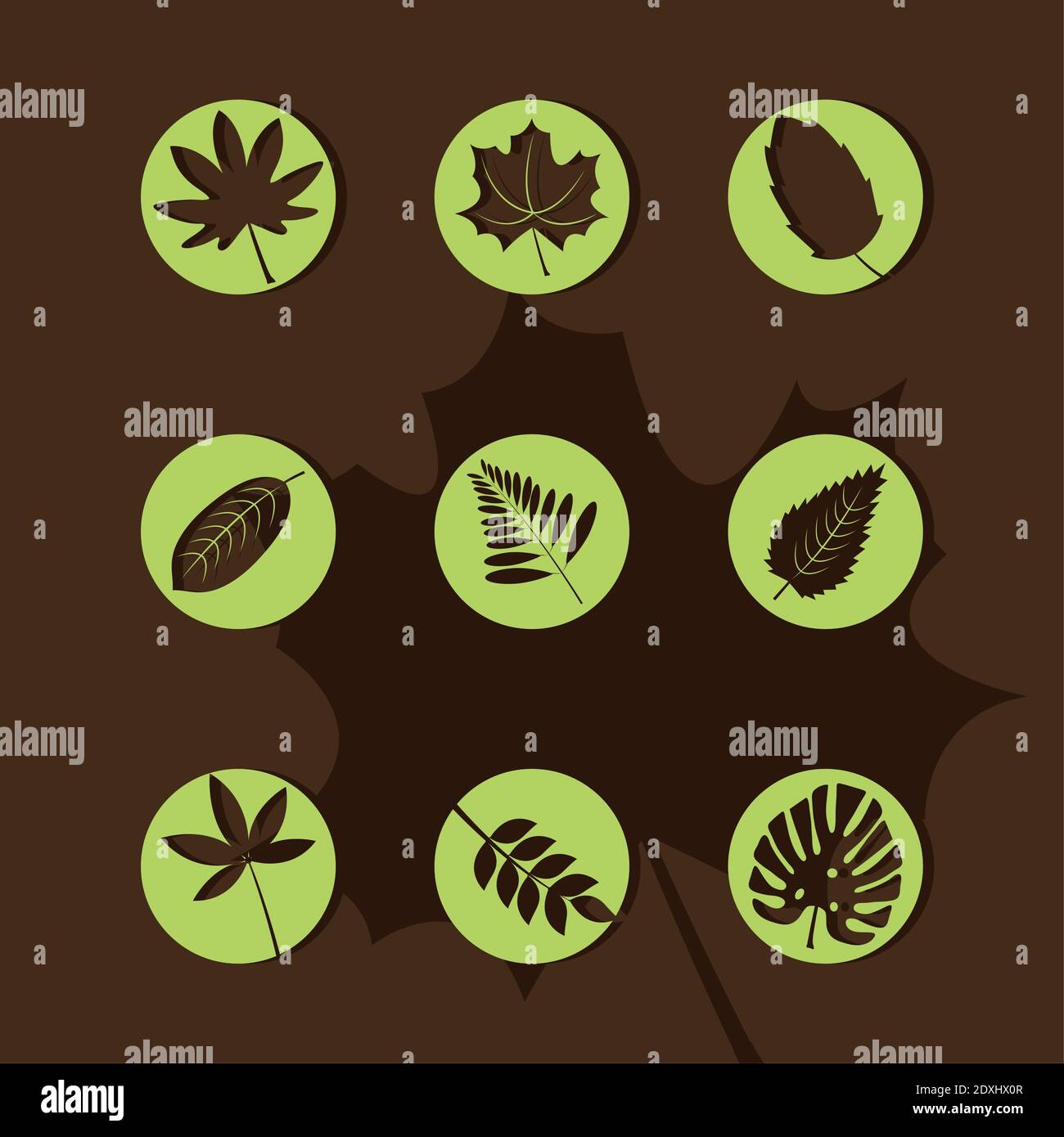 bundle of nine leafs plants silhouette style icons Stock Vector Image ...