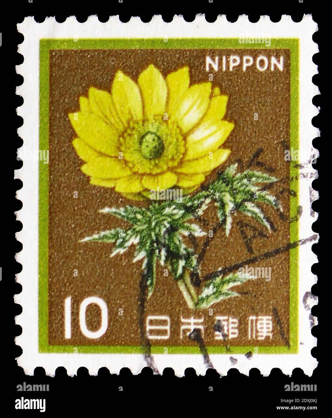 MOSCOW, RUSSIA - MARCH 23, 2019: Postage stamp printed in Japan shows Adonis (Adonis Amurensis), Fauna, Flora and Cultural Heritage serie, circa 1982 Stock Photo