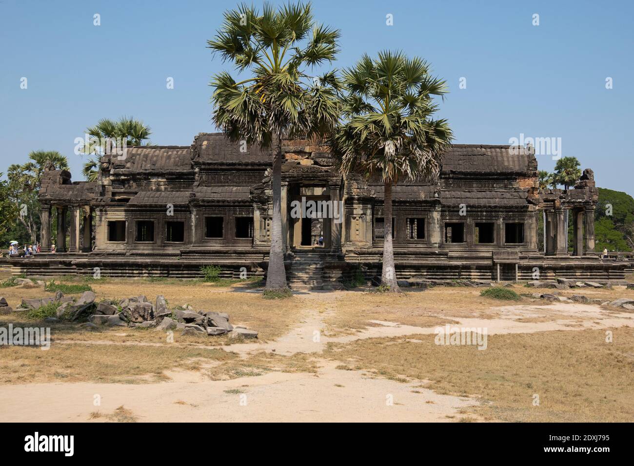Palm trees outside one of the temples of Angkor Wat Stock Photo