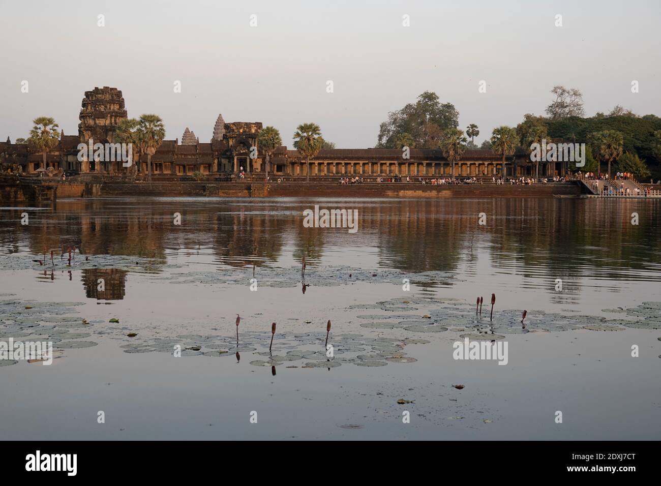 Lake bordering Angkor Wat temple Stock Photo