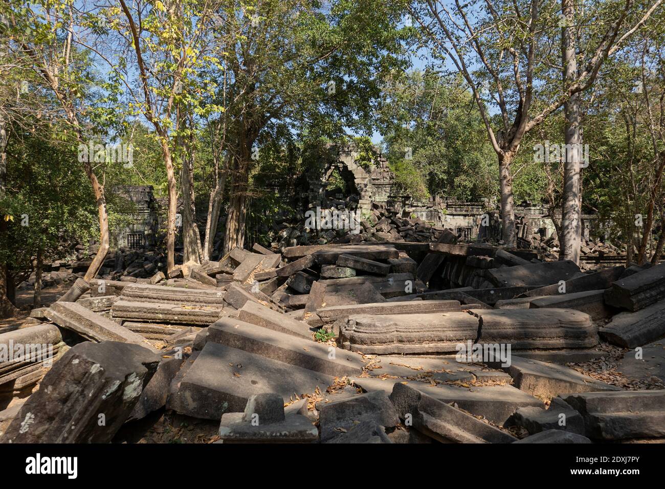 Collapsed stone blocks of the Ta Prohm temple Stock Photo