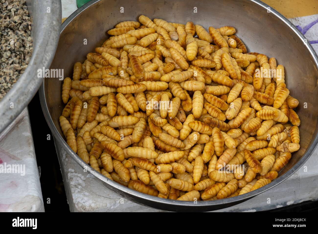 Insect larva for sale on the streets of Vietnam Stock Photo