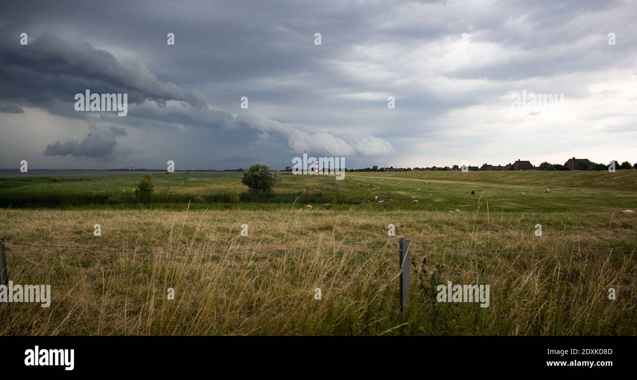 Elbwiesen mit Leutturm Stock Photo