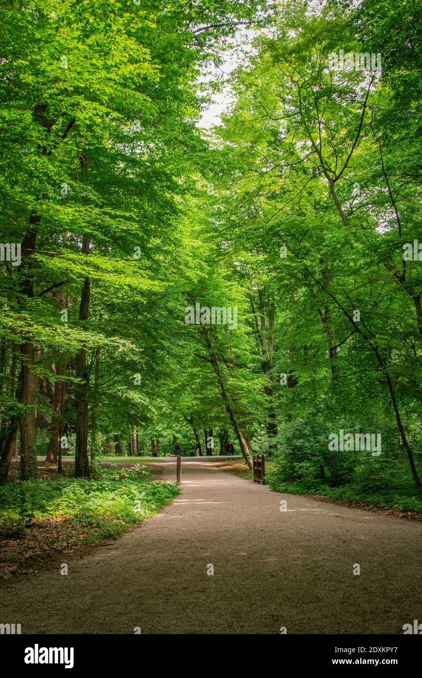 Green city park in spring with a walking path Stock Photo - Alamy