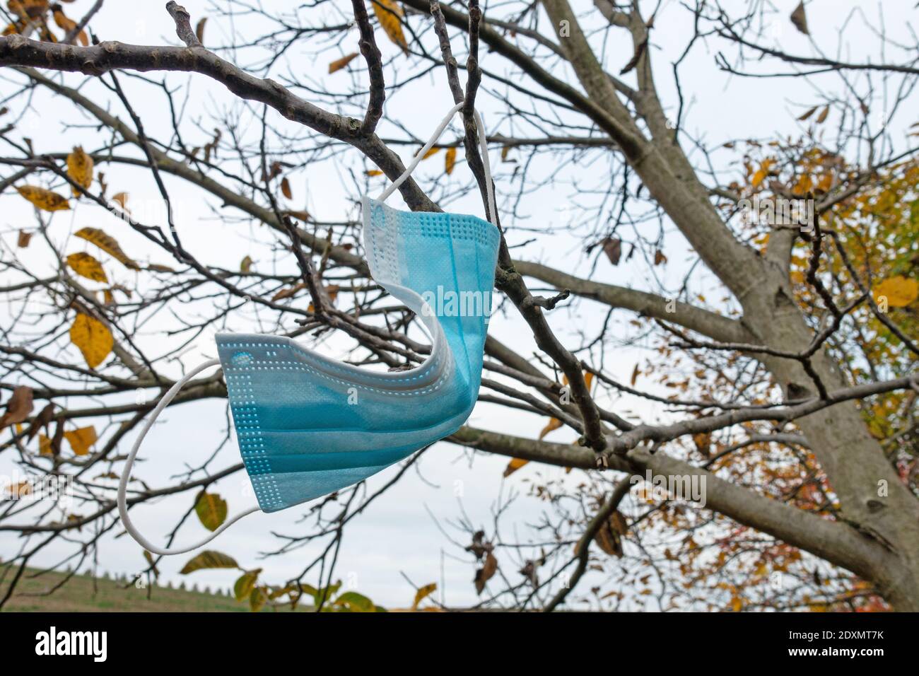 Face mask hanging on the tree in autumn Stock Photo