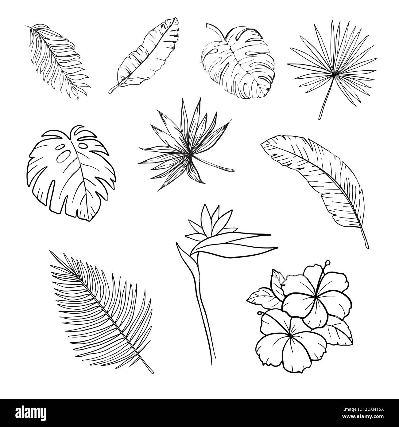 Black and white hand drawn tropical leaves and flowers set isolated vector illustration Stock Vector