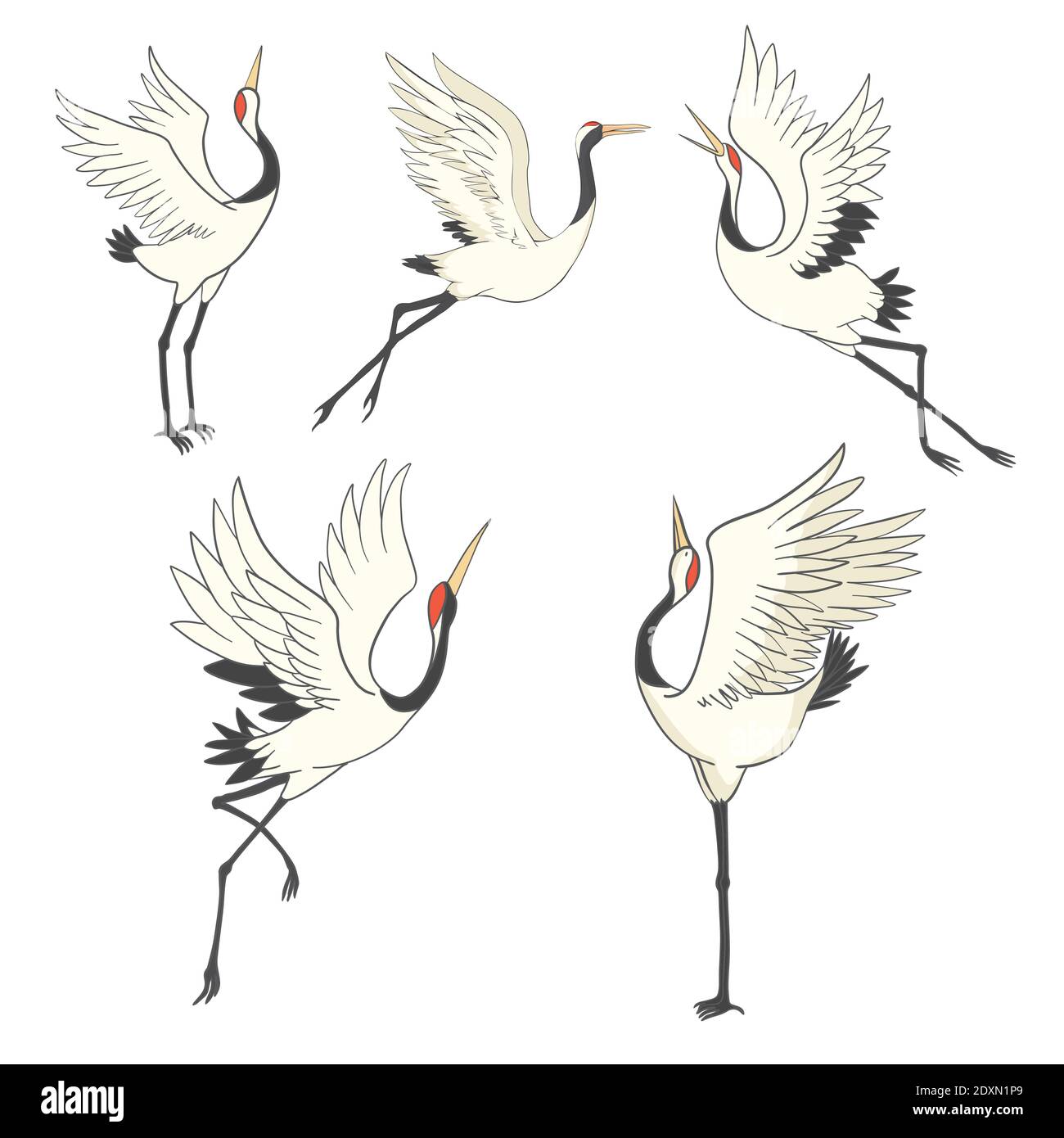 Crane bird set. illustration on white background Stock Vector