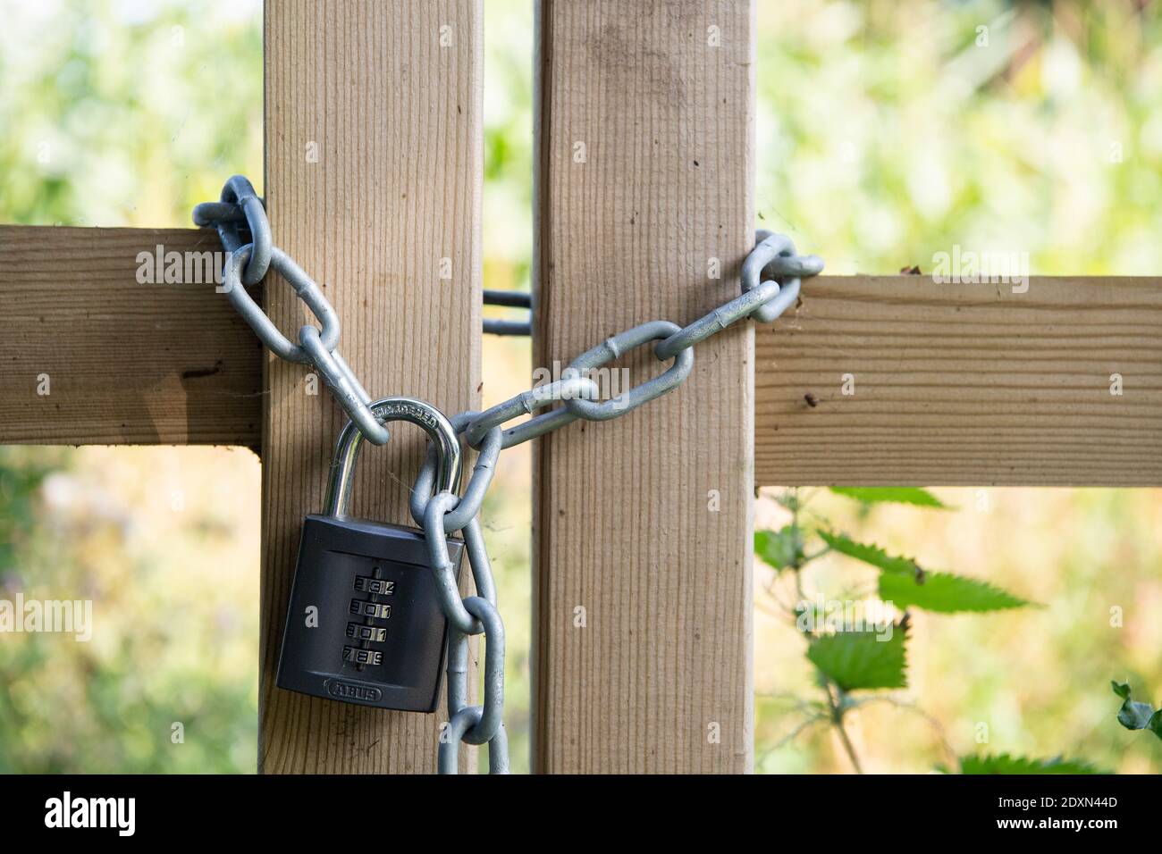 Gates padlocked up with a heavy duty padlock at the entrance to a field. Cumbria, UK. Stock Photo