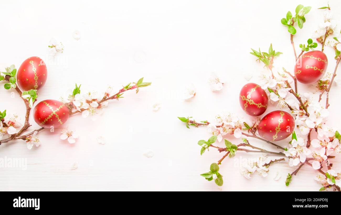 Easter eggs and spring white flowers on Easter white background with
