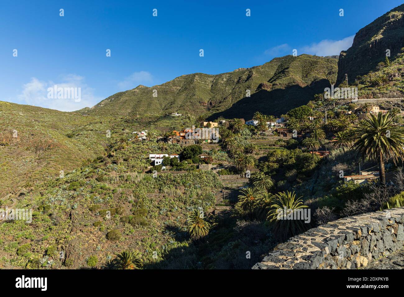 Views into the barranco, gorge and village of Masca, Tenerife, Canary Islands, Spain Stock Photo