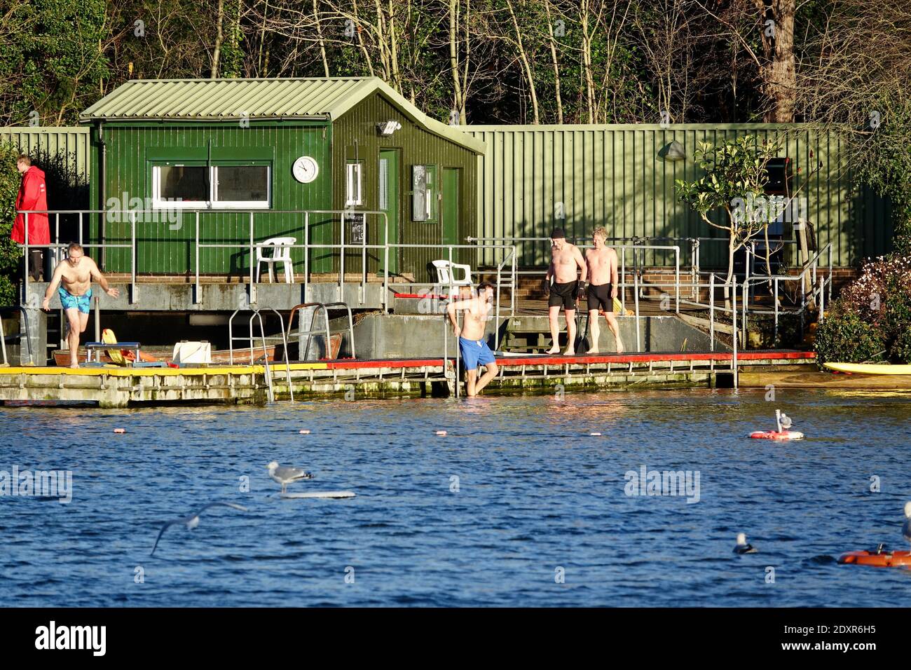 Hampstead pond men's hires stock photography and images Alamy
