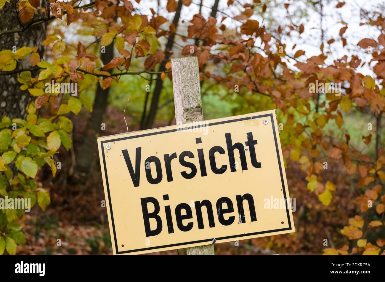 Yellow german warning sign, Vorsicht Bienen, Attention Caution Danger Bees, near beehives in the forest in the countryside in Germany Stock Photo