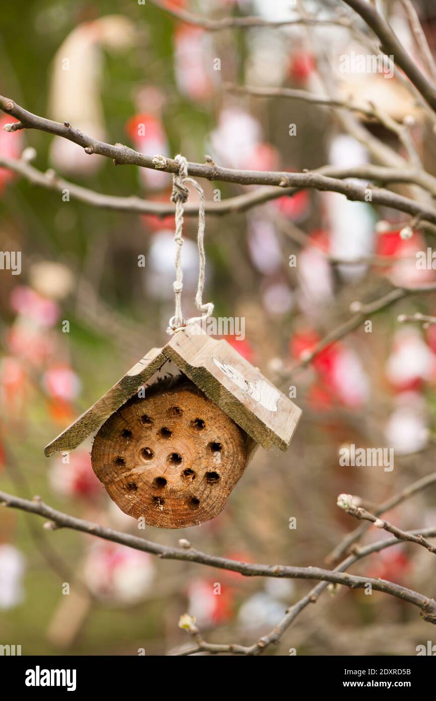 Hanging insect house in A Taste of Things to Come, Ukraine allotment theme show garden at RHS Cardiff in 2014 Stock Photo