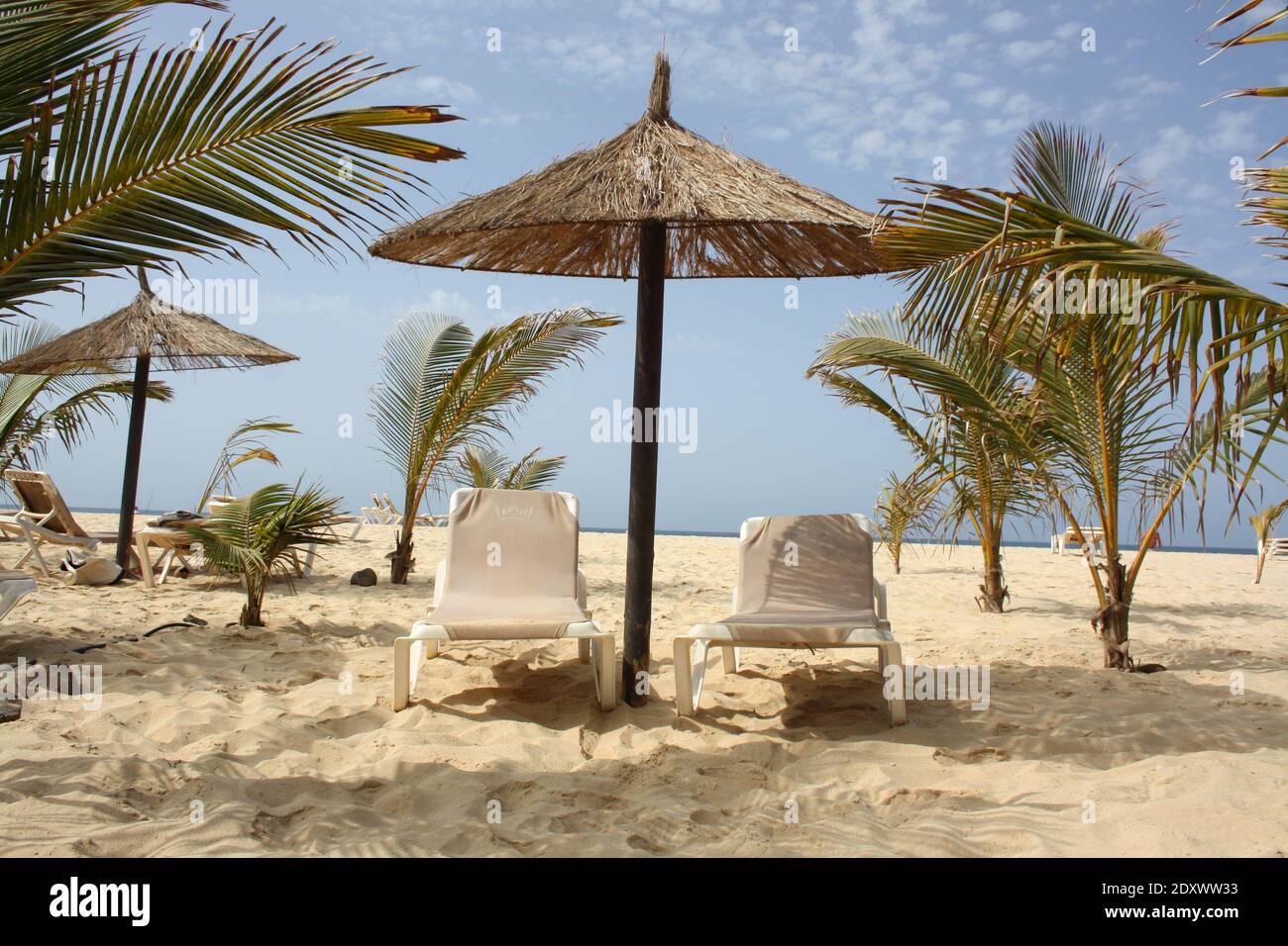 Soft sandy beach palm hi-res stock photography and images - Alamy
