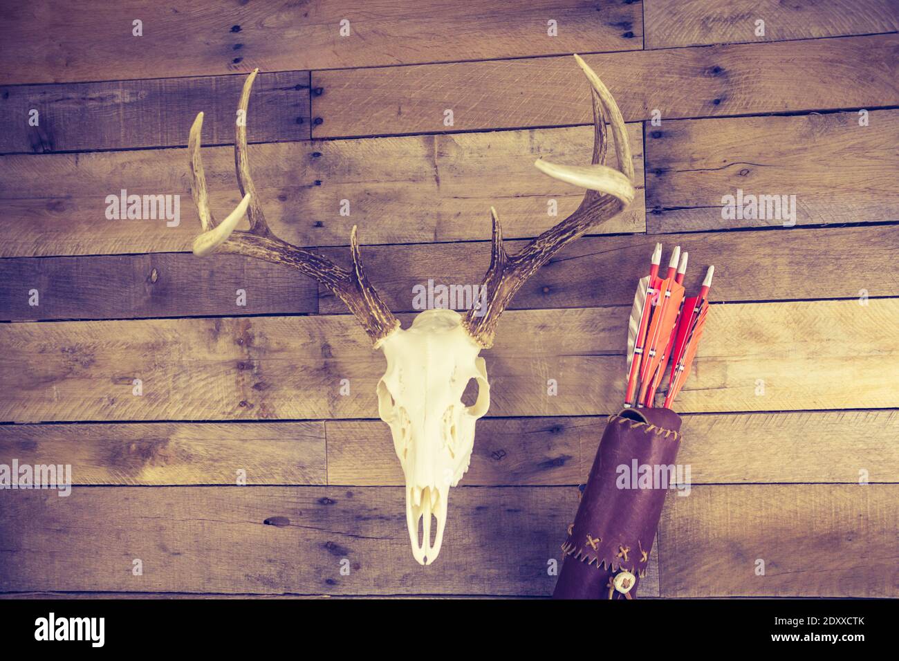 A traditional archery hunting scene with quiver of arrows and buck