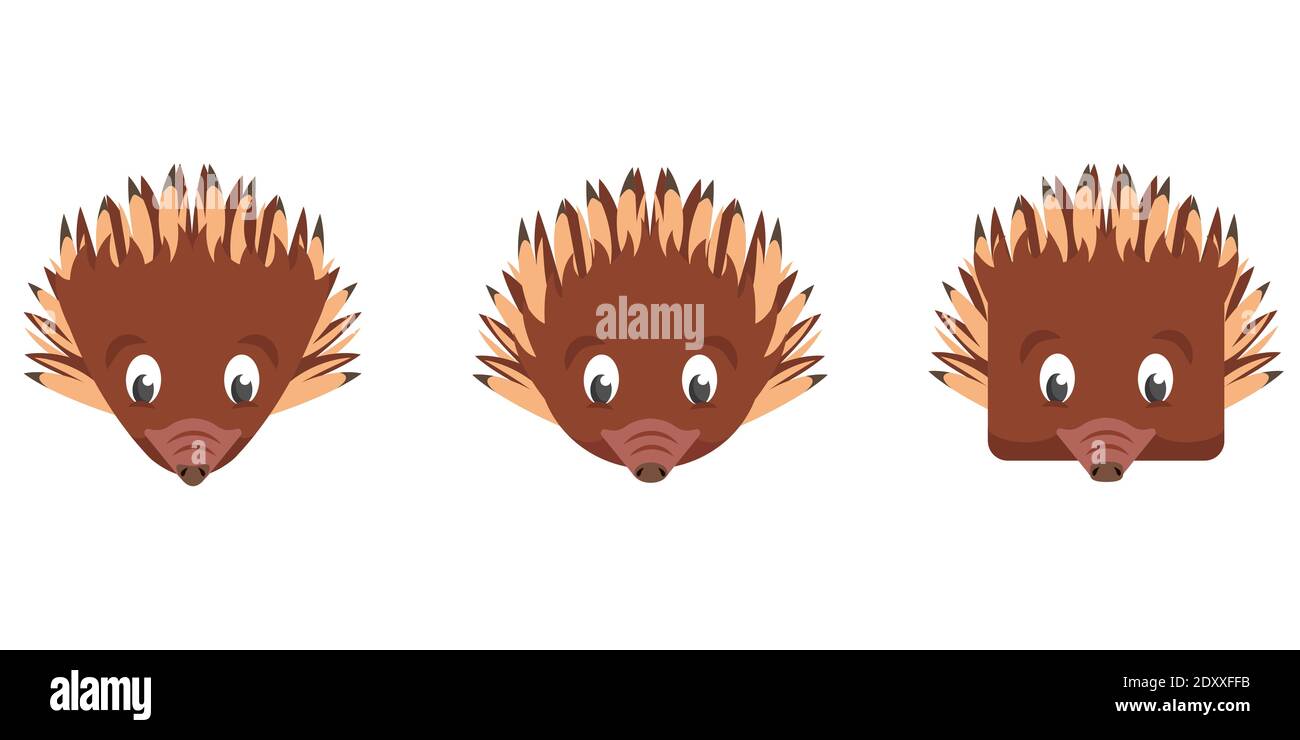 Set of cartoon echidnas. Different shapes of animal faces. Stock Vector