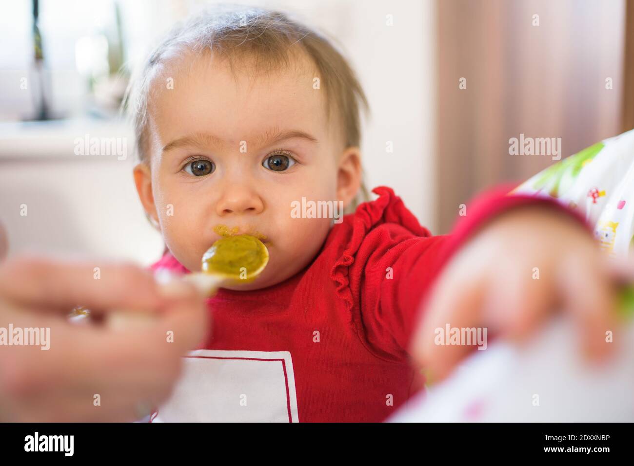 Feeding 1 year old baby with spoon, solid food Stock Photo - Alamy