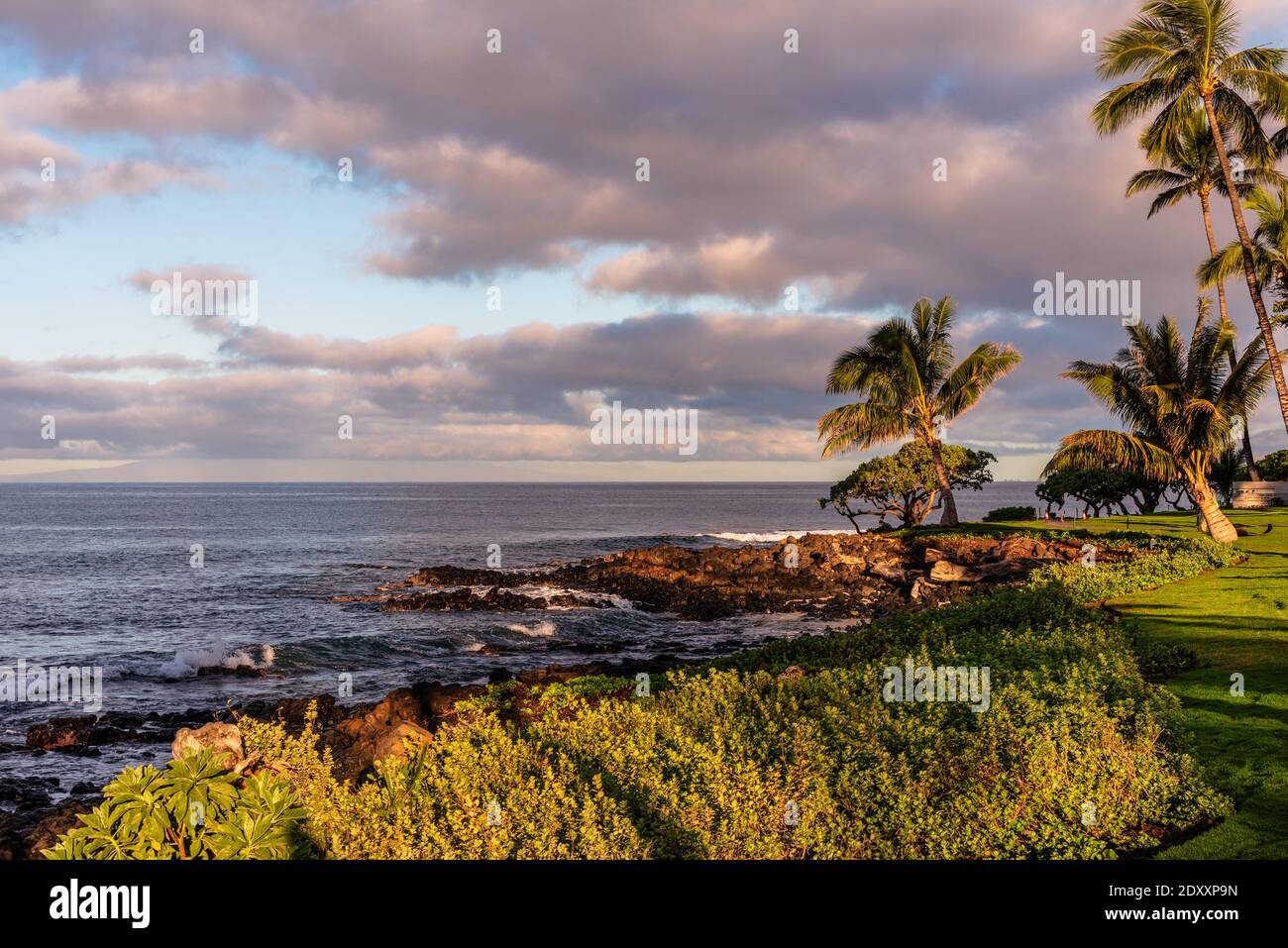 Waleah hawaii hi-res stock photography and images - Alamy