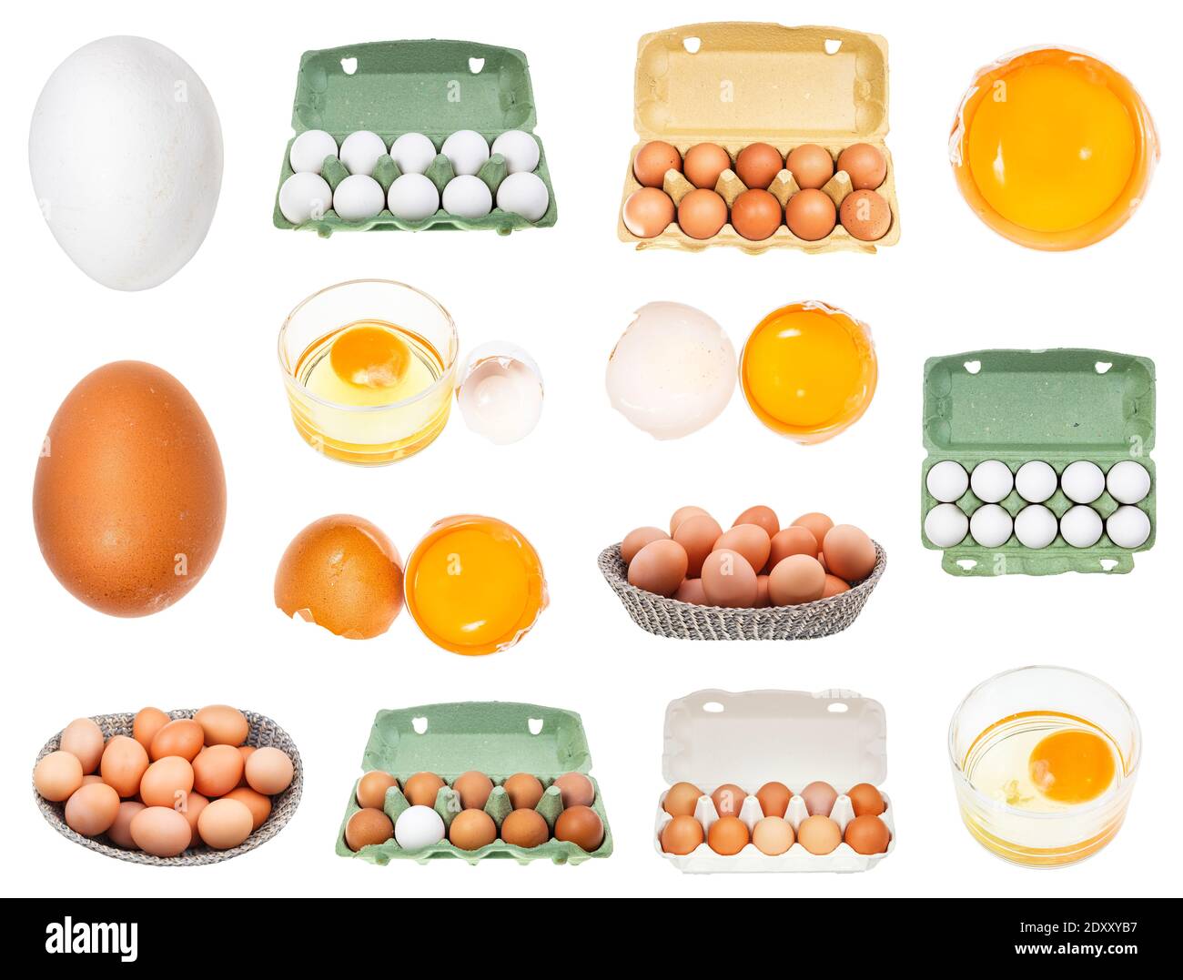 set of various raw chicken eggs isolated on white background Stock ...