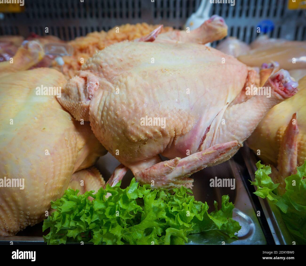 fresh homemade chicken carcass is on the counter in the bazaar Stock