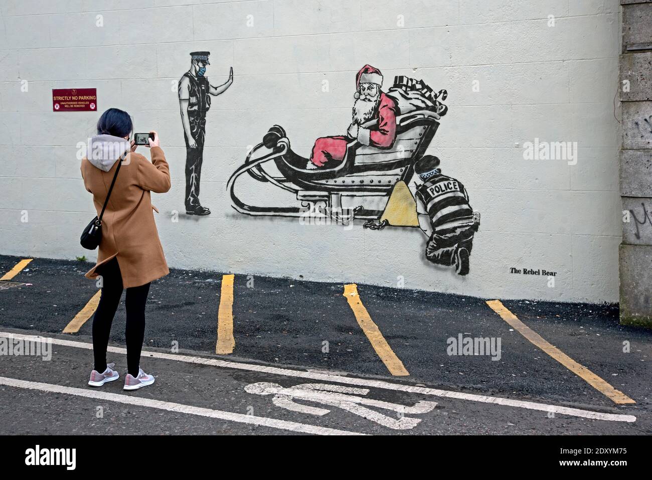 Young woman stops to photograph a Covid Christmas themed piece of streetart by The Rebel Bear on Leith Walk, Edinburgh, Scotland, UK. Stock Photo