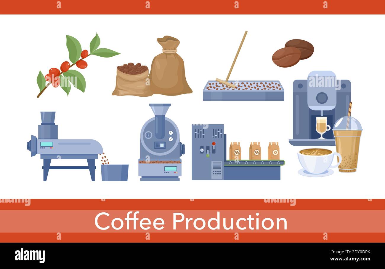 Coffee production set, cartoon process of picking harvesting, drying coffee product Stock Vector