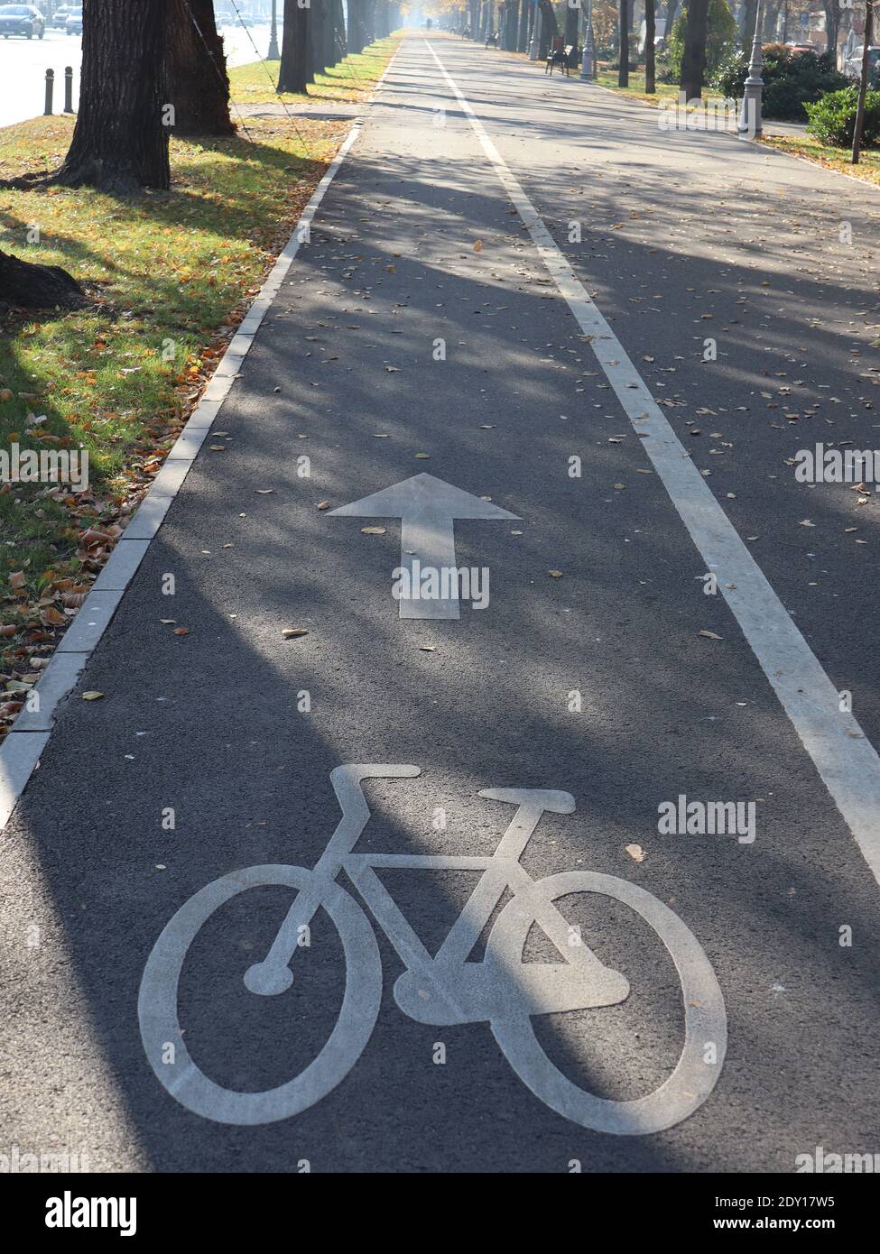Vertical shot bicycle pathway hi-res stock photography and images - Alamy