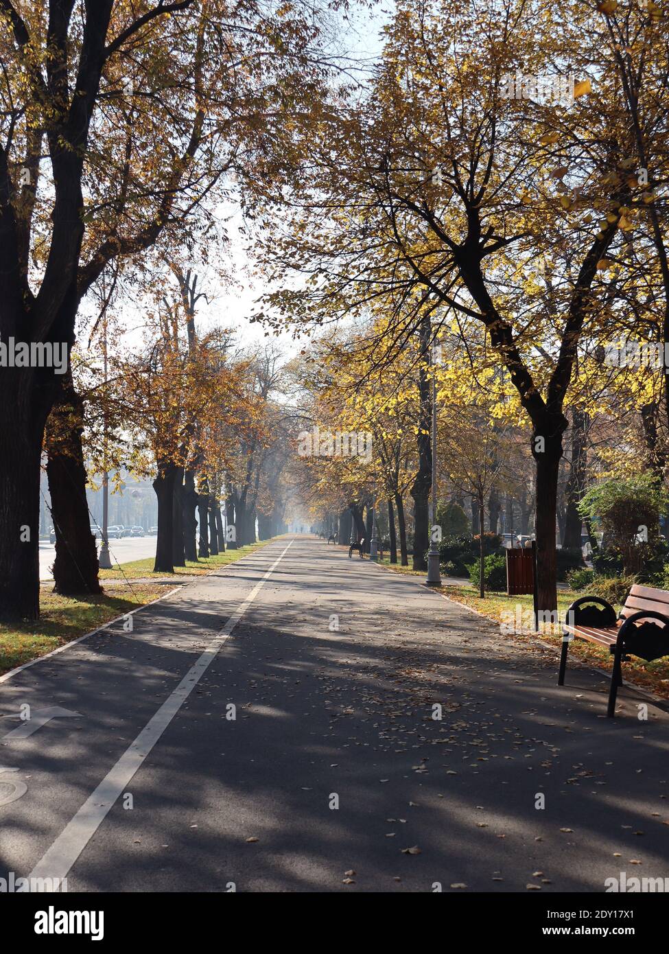 Vertical shot bicycle pathway hi-res stock photography and images - Alamy
