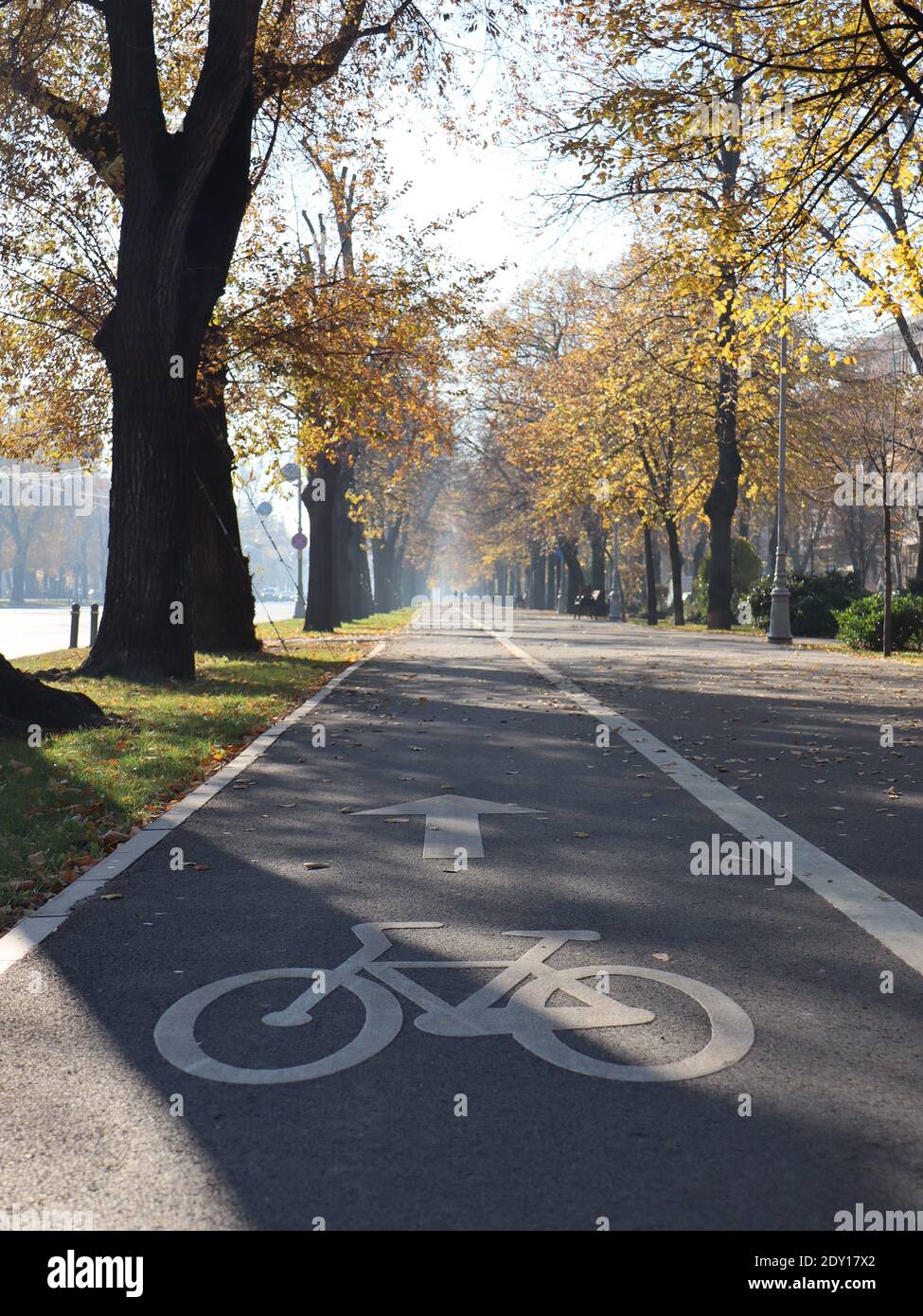 Vertical shot bicycle pathway hi-res stock photography and images - Alamy