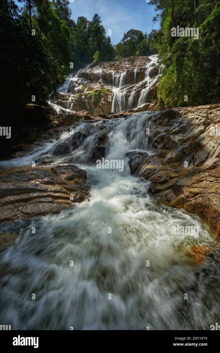 Scenic View Of Waterfall In Forest Sungai Pandan Waterfall Pahang Malaysia Stock Photo Alamy