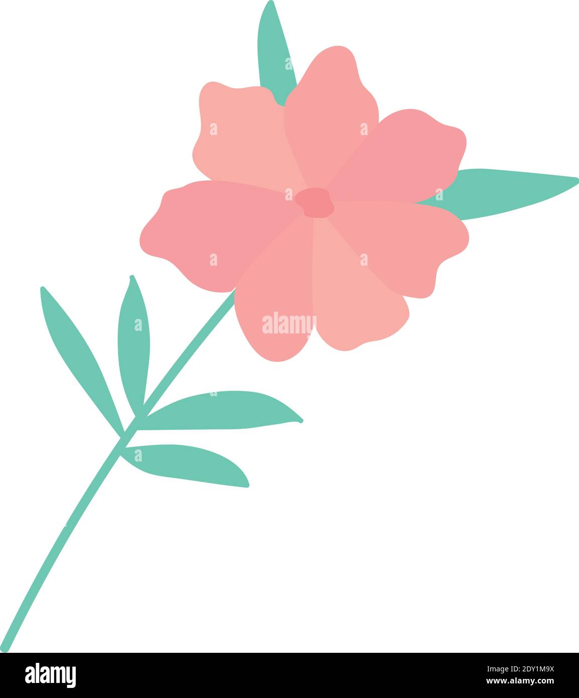 pink rose on a white background Stock Vector Image & Art - Alamy