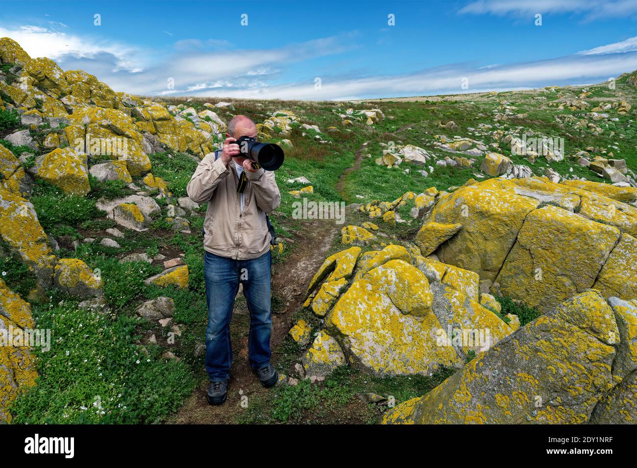 Wild Nature Photographer, Great Saltee Island, co.Wexford, Ireland Stock Photo