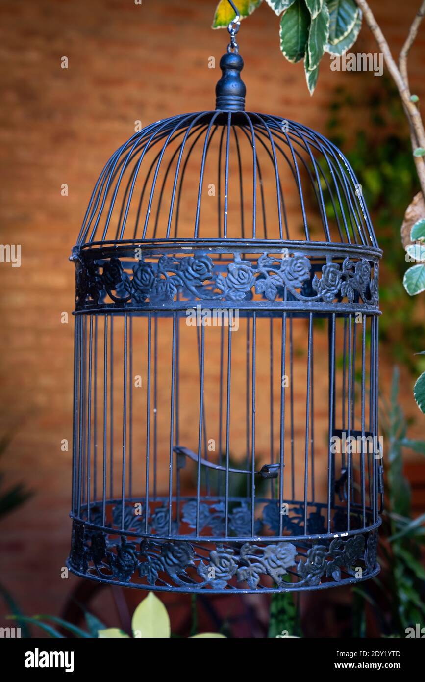 Bird cage used in an ornamental way in a garden Stock Photo Alamy