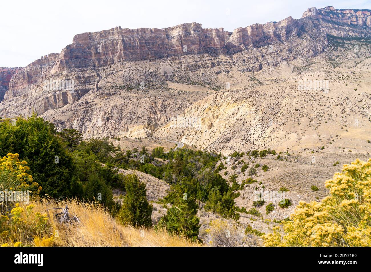 View of Shell Canyon, along the US 14 scenic byway in the Bighorn National Forest of Wyoming Stock Photo