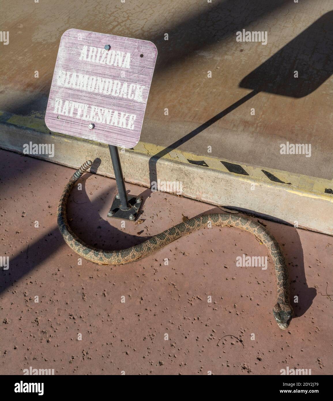 Arizona, Wickenburg, Diamondback Rattlesnake sculpture Stock Photo