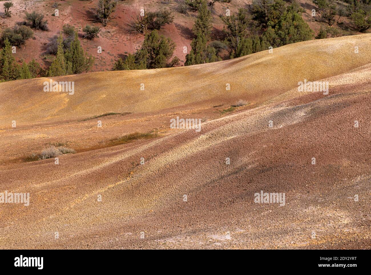 Painted Hills, Juniper Hills Preserve, Oregon Stock Photo