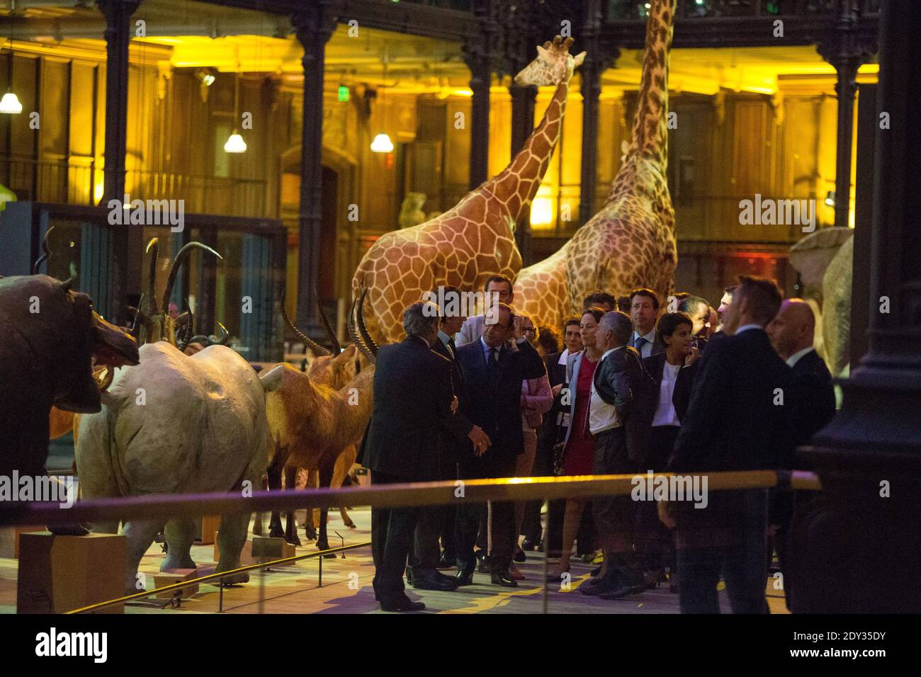 French President Francois Hollande during his visit to the Great Gallery of Evolution at the National museum of natural history in Paris on October 4, 2014. The Great Gallery of Evolution presents 7,000 species from both land and sea, including some extinct species, and celebrates this year its 20th anniversary. Paris, FRANCE - 04/10/2014 Photo by Revelli-Beaumont/ Pool/ ABACAPRESS.COM Stock Photo