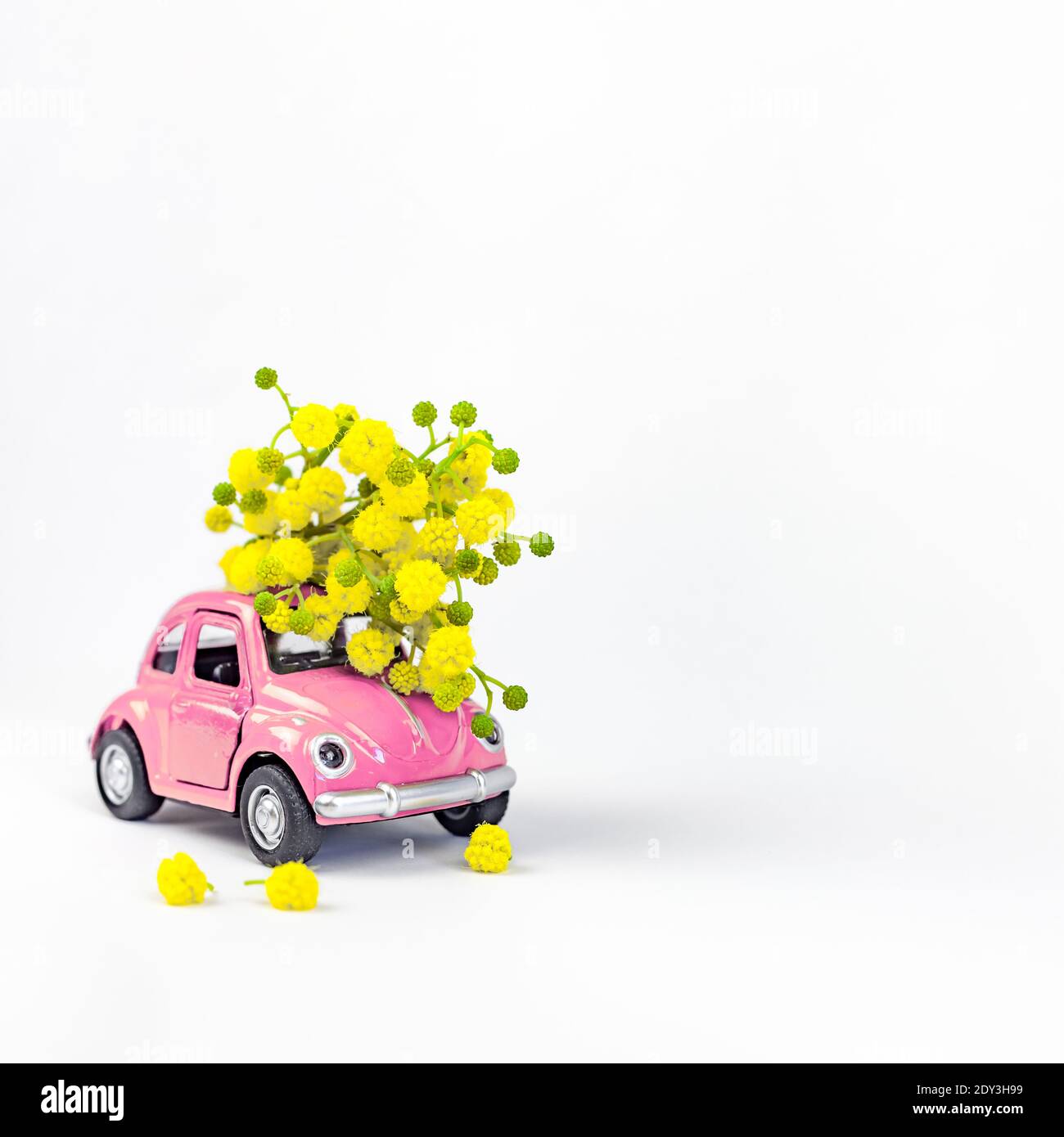 Moscow, Russia - February 23, 2019: 8 March International Women's Day card with toy model retro car delivering bouquet of mimosa flowers on white background. Valentine's day, Flower delivery concept Stock Photo
