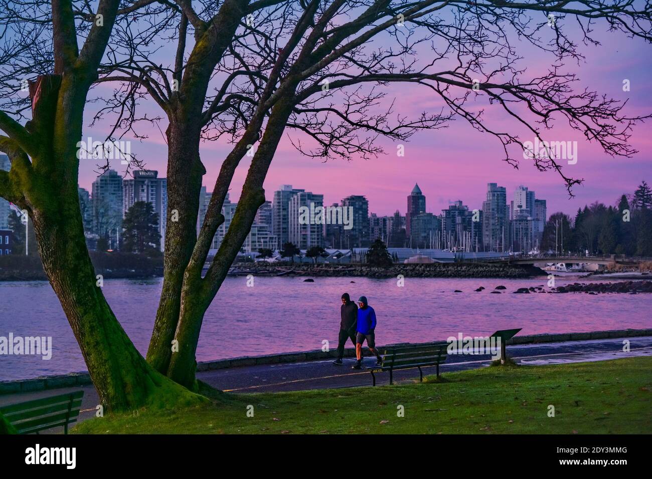 Stanley Park Seawall Coal Harbour Vancouver British Columbia Canada 