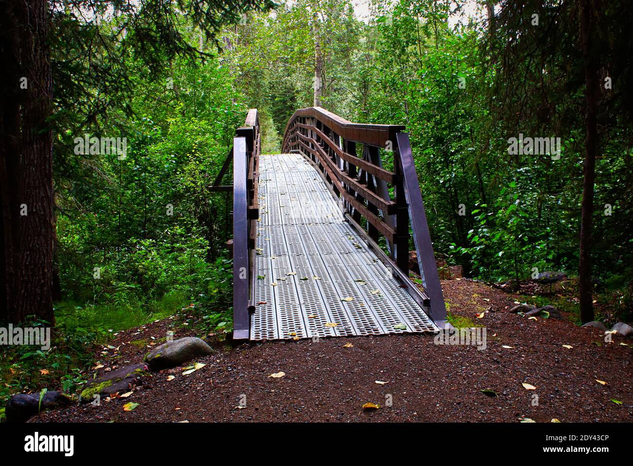 Foot path view hi-res stock photography and images - Alamy