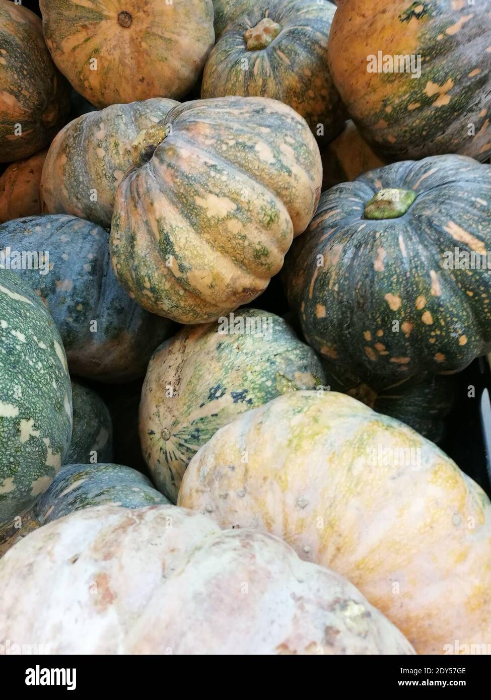 Close-up Of Pumpkins Stock Photo