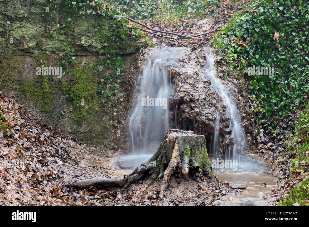 Haluzicka Tiesnava (Haluzice Gorge) and its primeval forest in Slovakia Stock Photo