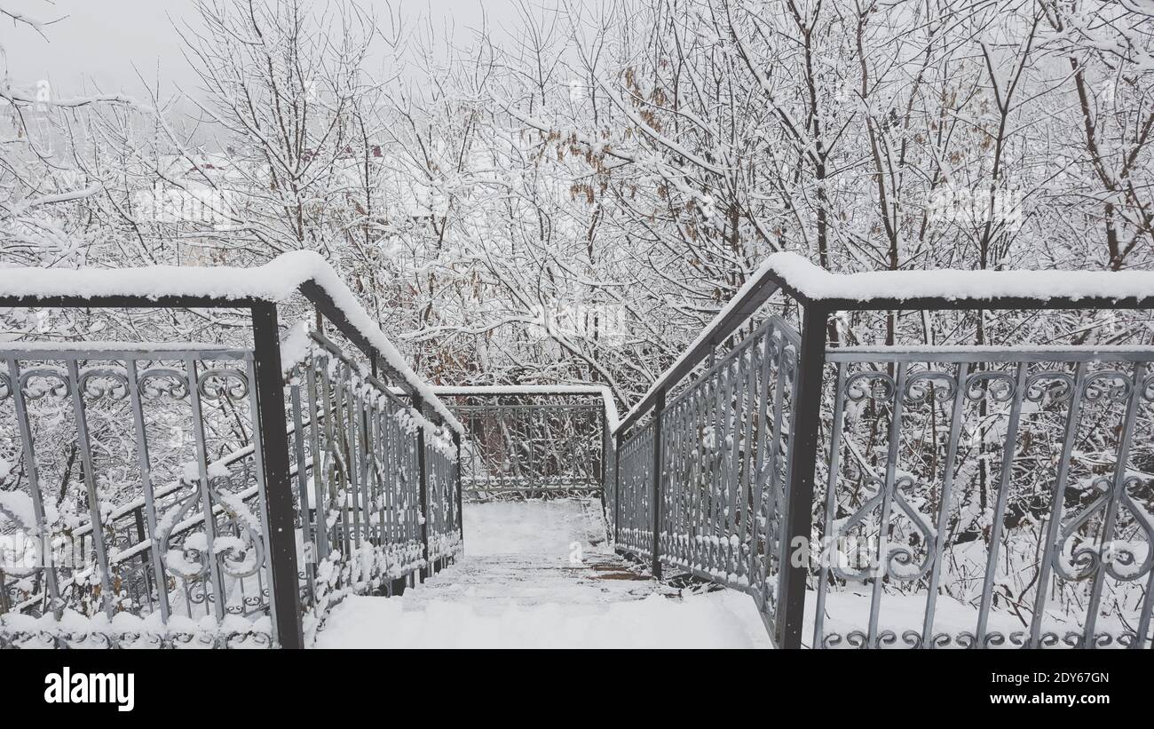 Snow Covered Railing Against Bare Trees During Winter Stock Photo